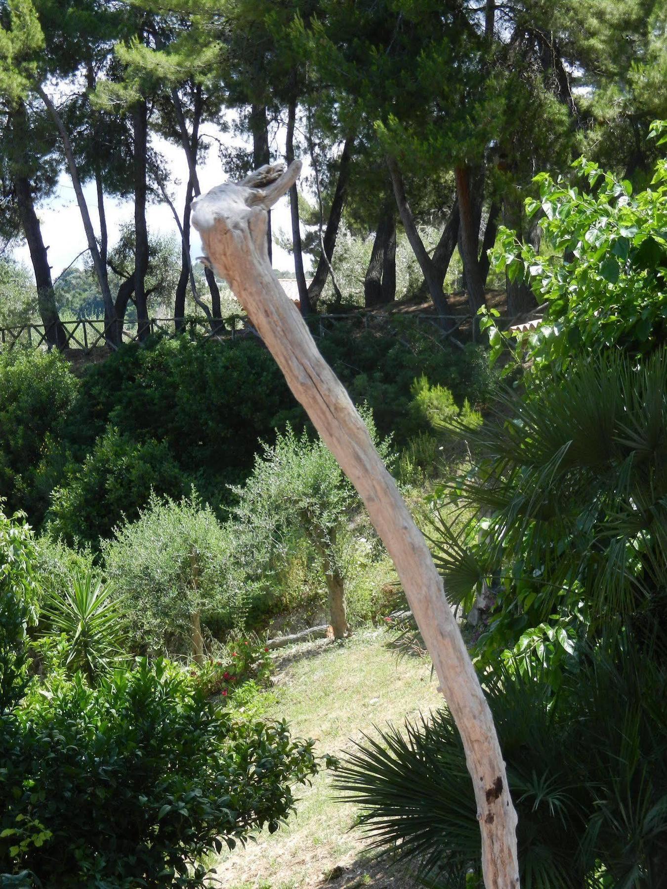 Tenuta Molino Di Mare- Ecoresort Con Villini Rodi Garganico Eksteriør billede