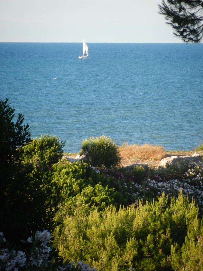 Tenuta Molino Di Mare- Ecoresort Con Villini Rodi Garganico Eksteriør billede